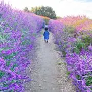 fumiの画像