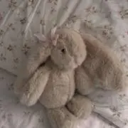 さくらんぼの画像