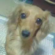 ゆりママ  ☆プロフ必読☆