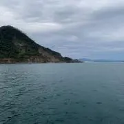KKの画像