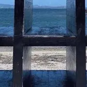 はんぎょどんの画像