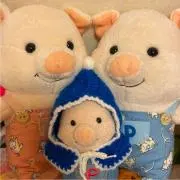 しちゃんの画像