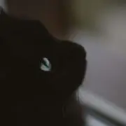 和栗の画像