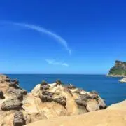 ブルーウェイブの画像