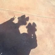 Iyuの画像