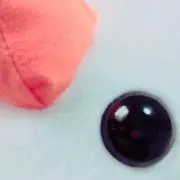 ぴよこ