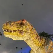 disizm
