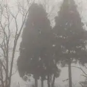 kesäの画像