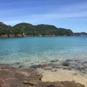 クロフネ