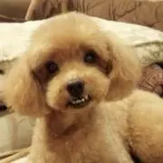 はな