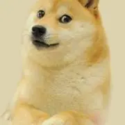 しばいぬの画像