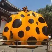 mwham○プロフ確認お願いしますの画像