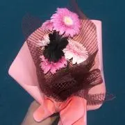 きんぐの画像