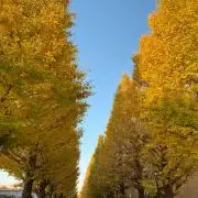 さななんの画像