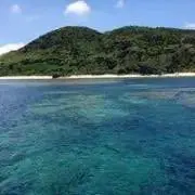 きなこの画像