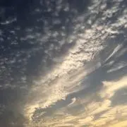 太郎くんしゅぎゆ。
