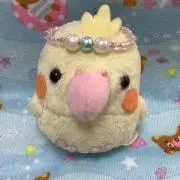 まーぼちゃんの画像