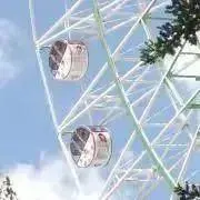 まいくの画像