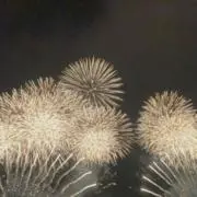 輝の画像