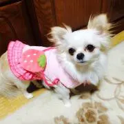 さっちゃん