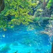 元気の画像
