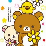 クマミミ