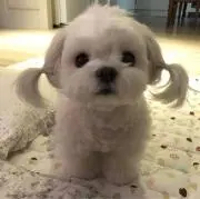 ぽの画像