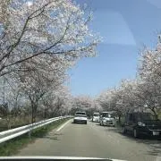 koyadopeの画像
