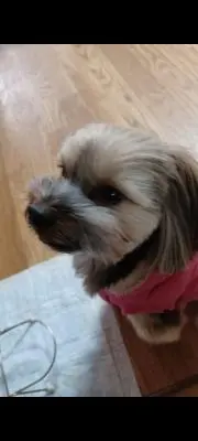 aki