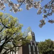 さんさんの画像