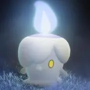 PNの画像