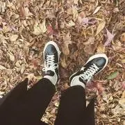 のんたん