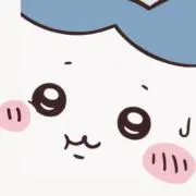 しごできハチワレの画像