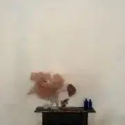 Ri__ko
