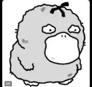 duckの画像