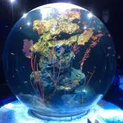 Myの画像