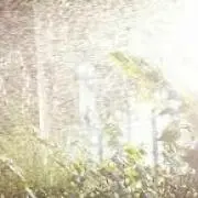 山モンモの画像