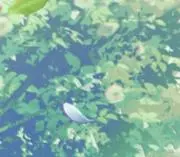 きりんの画像