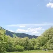 *ほのぼのちゃん*おまとめ割引致します*の画像
