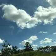 Jの画像