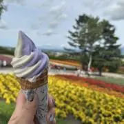 あおの画像