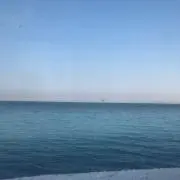 xatの画像