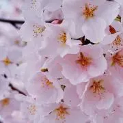 ☆ジャンピー☆の画像