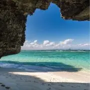 ginginの画像