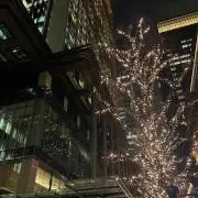 つっちー