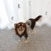 あり