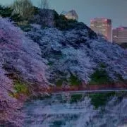 ゆう