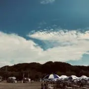 V(ヴイ)の画像