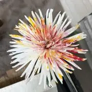 オラケイロード