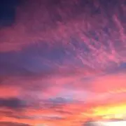 nyaonyaonの画像